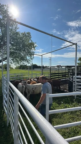 Oklahoma-Grassfed-Beef-8-19-26-1